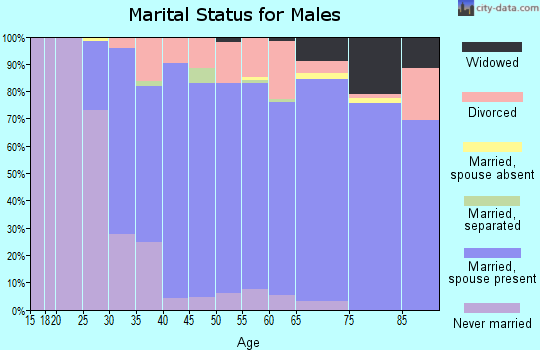 Zip code 48182 marital status for males
