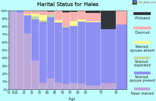 Zip code 48188 marital status for males