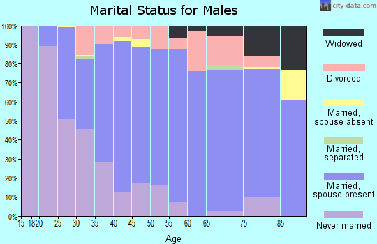 Zip code 48189 marital status for males