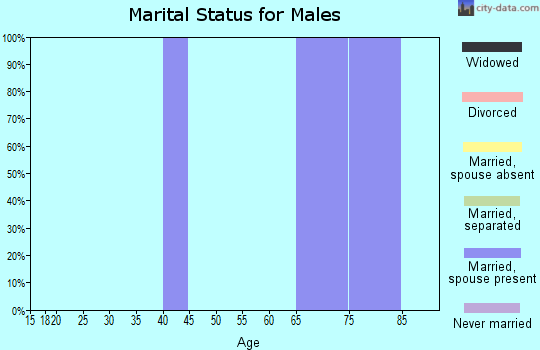Zip code 48190 marital status for males