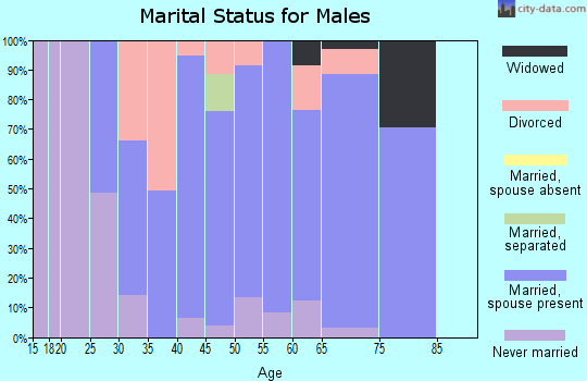 Zip code 48191 marital status for males