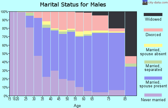 Zip code 48195 marital status for males