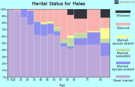 Zip code 48201 marital status for males