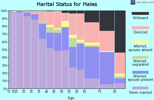 Zip code 48203 marital status for males