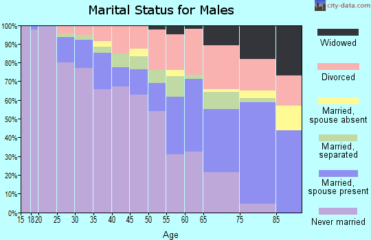 Zip code 48204 marital status for males