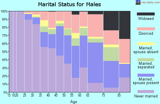 Zip code 48205 marital status for males