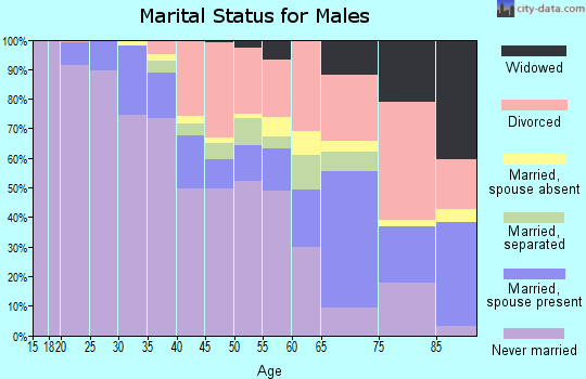 Zip code 48207 marital status