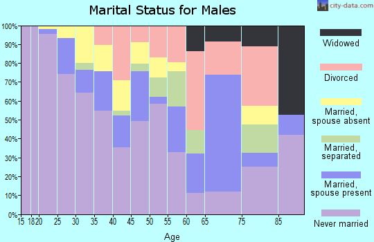 Zip code 48211 marital status for males