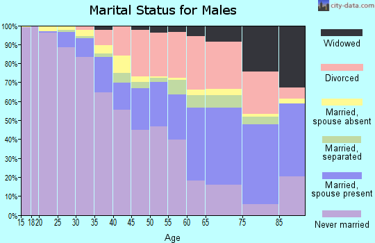 Zip code 48213 marital status for males