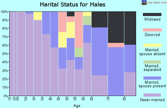 Zip code 48217 marital status for males