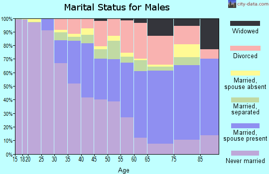 Zip code 48219 marital status for males