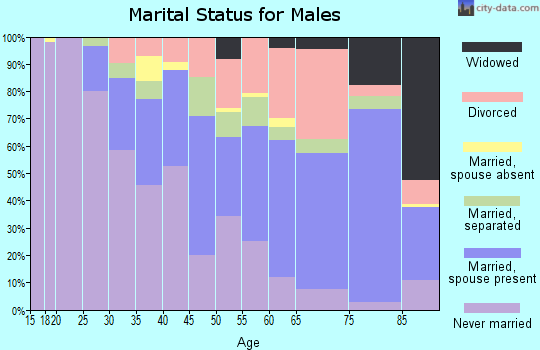 Zip code 48223 marital status for males