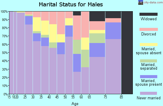 Zip code 48226 marital status for males