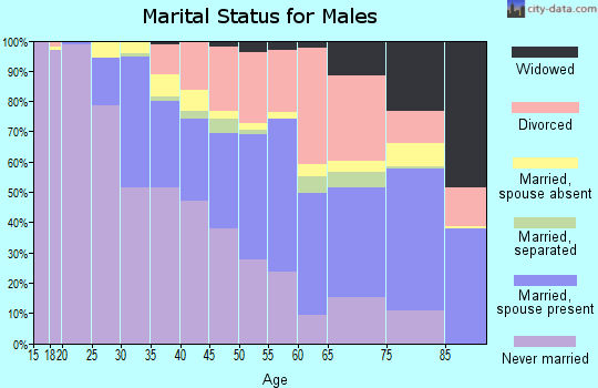 Zip code 48228 marital status for males