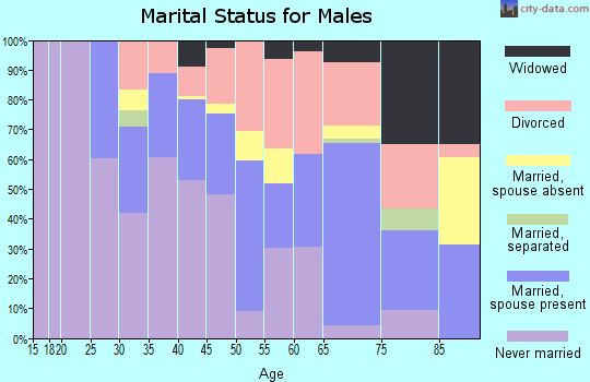 Zip code 48229 marital status for males