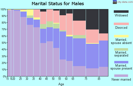 Zip code 48234 marital status for males