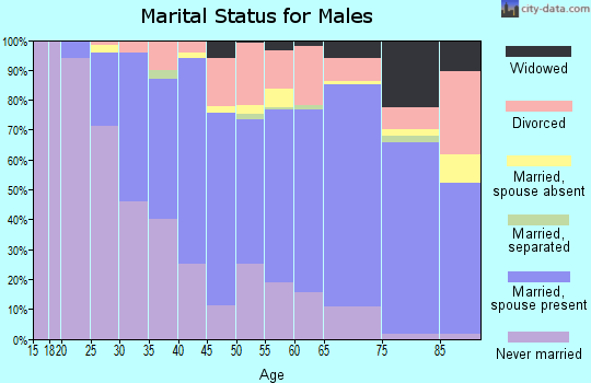 Zip code 48237 marital status for males