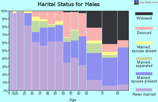 Zip code 48238 marital status for males