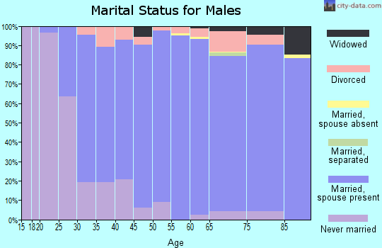 Zip code 48301 marital status for males