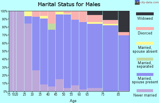Zip code 48304 marital status for males