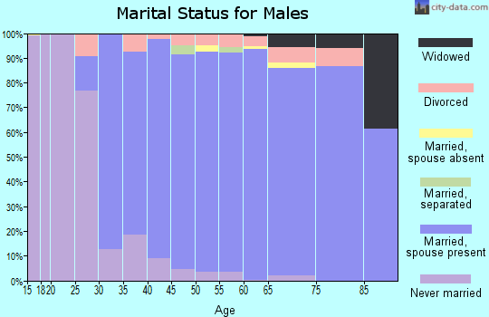 Zip code 48306 marital status for males