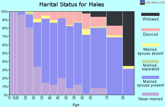 Zip code 48307 marital status