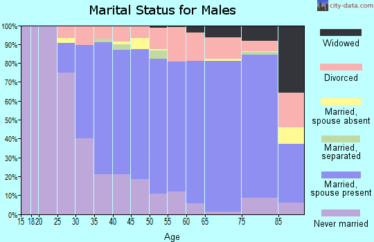 Zip code 48312 marital status for males