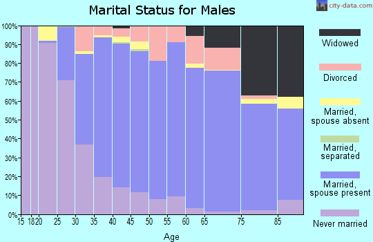Zip code 48313 marital status for males