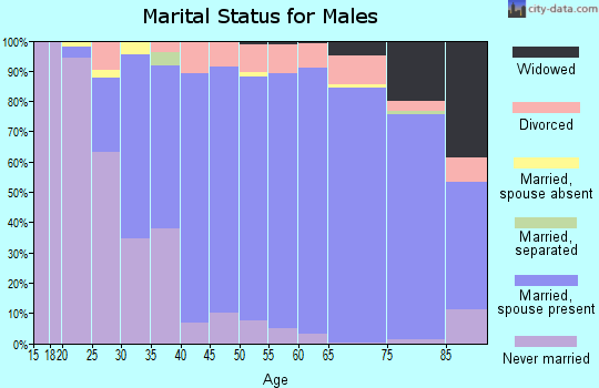 Zip code 48315 marital status for males