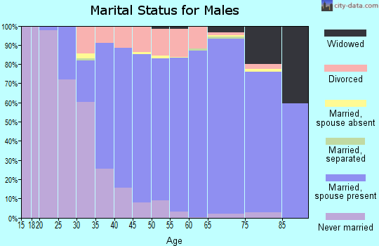 Zip code 48316 marital status for males