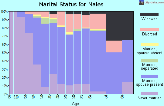 Zip code 48317 marital status for males