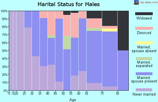 Zip code 48320 marital status for males