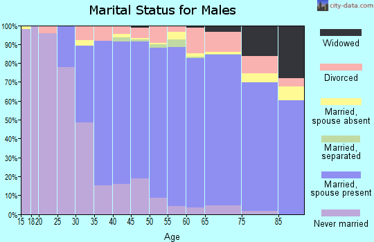 Zip code 48322 marital status for males