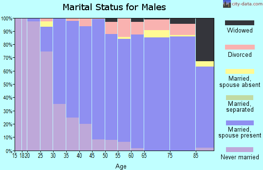 Zip code 48323 marital status for males