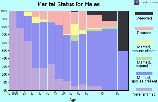 Zip code 48326 marital status for males