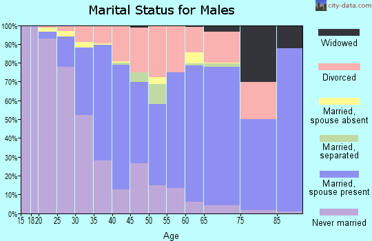 Zip code 48328 marital status for males