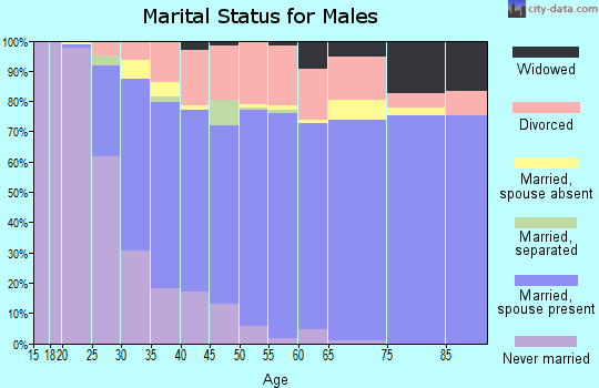 Zip code 48329 marital status for males