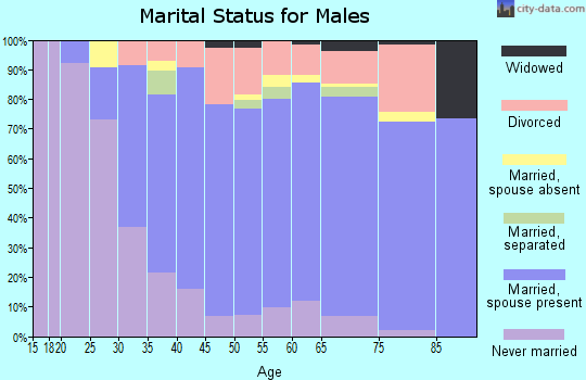 Zip code 48334 marital status for males