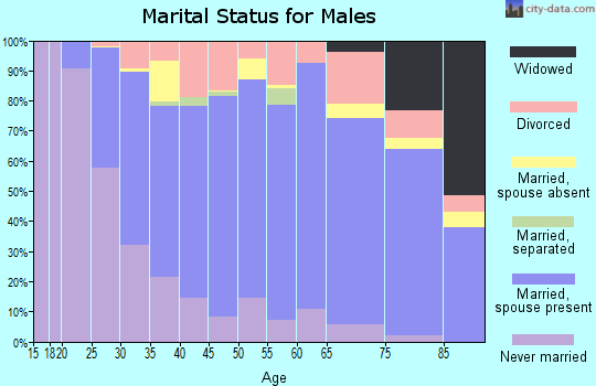 Zip code 48335 marital status for males