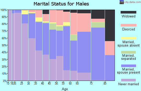 Zip code 48340 marital status for males