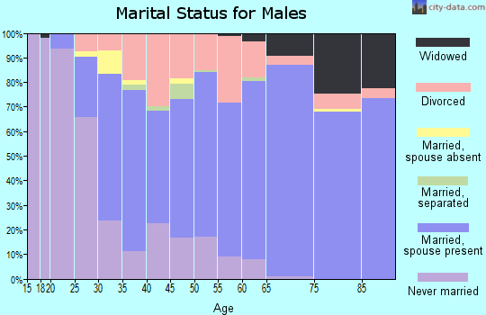 Zip code 48346 marital status for males