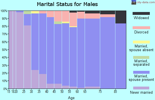 Zip code 48348 marital status for males