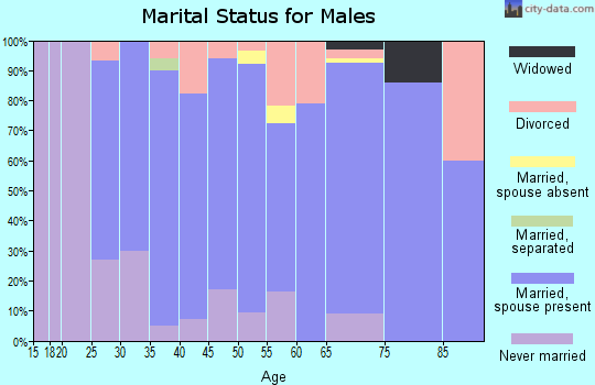 Zip code 48353 marital status for males