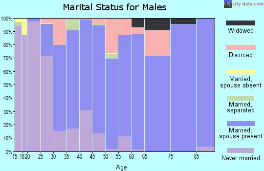 Zip code 48360 marital status for males
