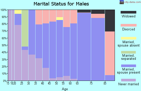 Zip code 48367 marital status for males