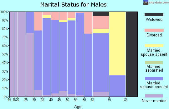 Zip code 48374 marital status for males