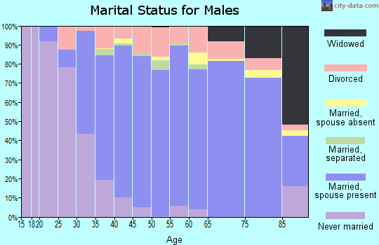 Zip code 48375 marital status for males