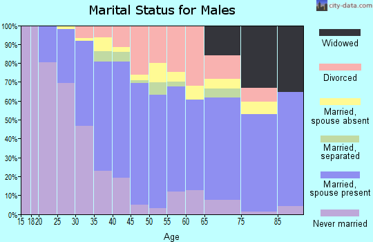 Zip code 48377 marital status for males