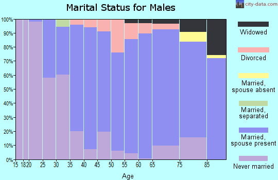 Zip code 48381 marital status for males
