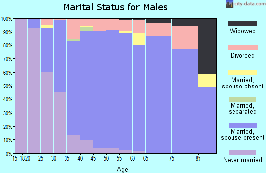 Zip code 48382 marital status for males